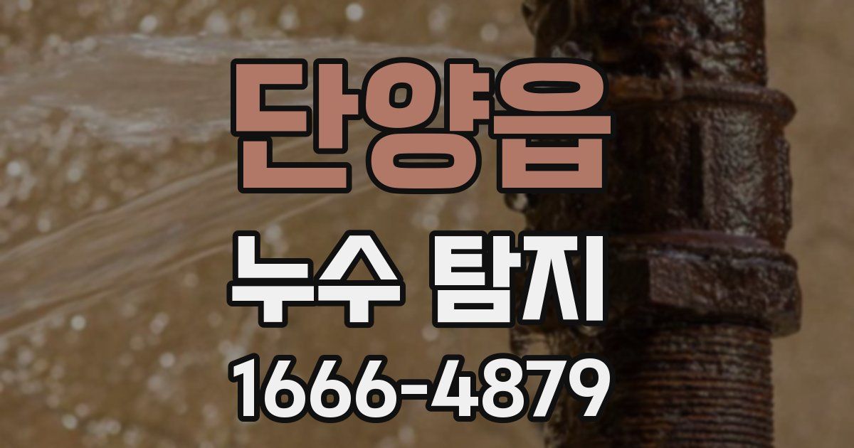 단양읍 누수 탐지