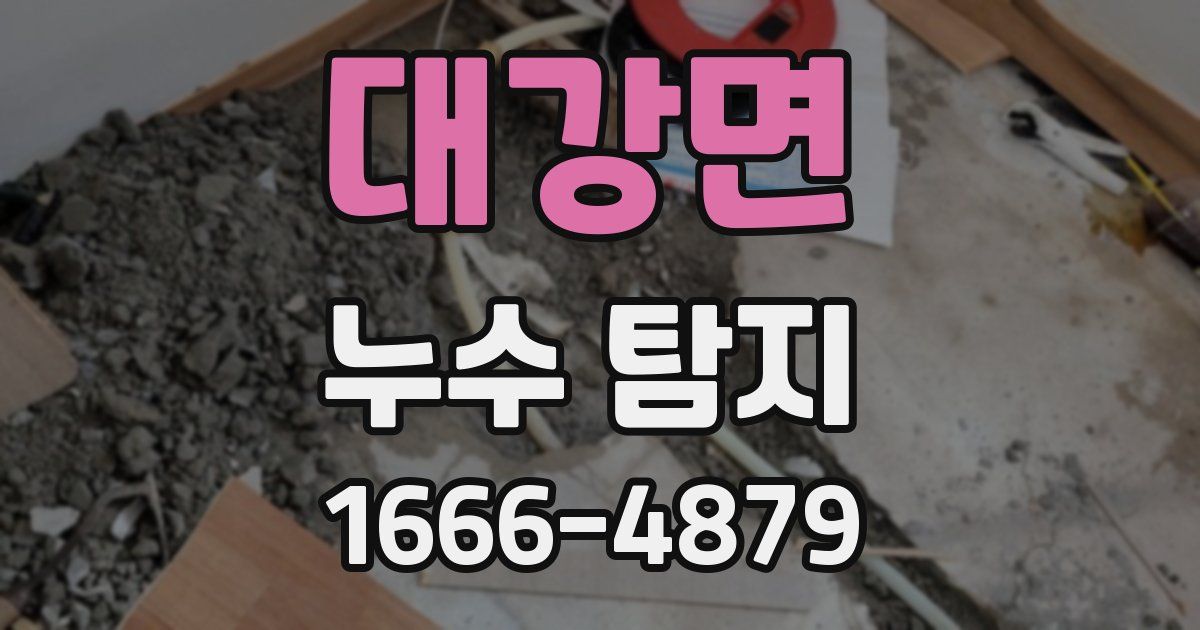 대강면 누수 탐지