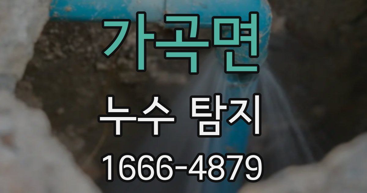 가곡면 누수 탐지