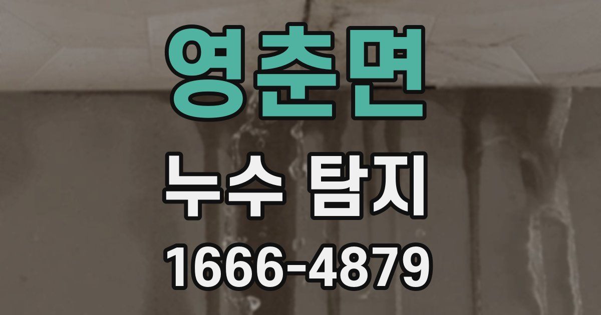 영춘면 누수 탐지