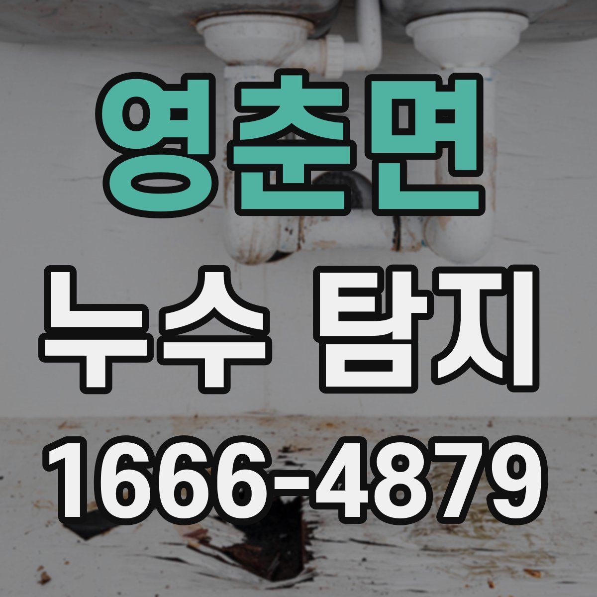 영춘면 누수 탐지