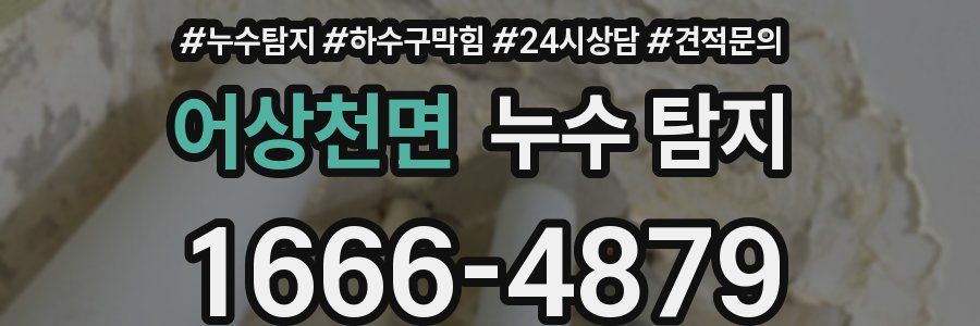 어상천면 누수 탐지