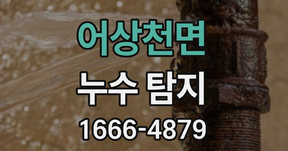 어상천면 누수 탐지