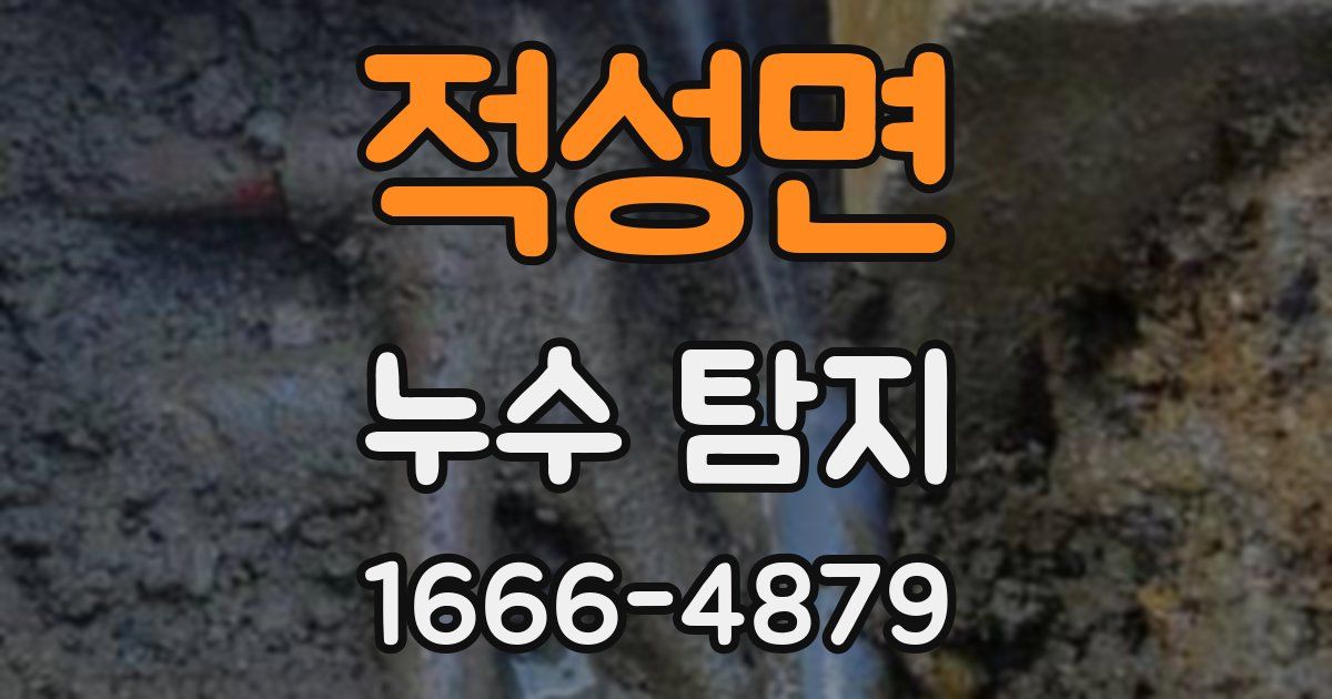 적성면 누수 탐지