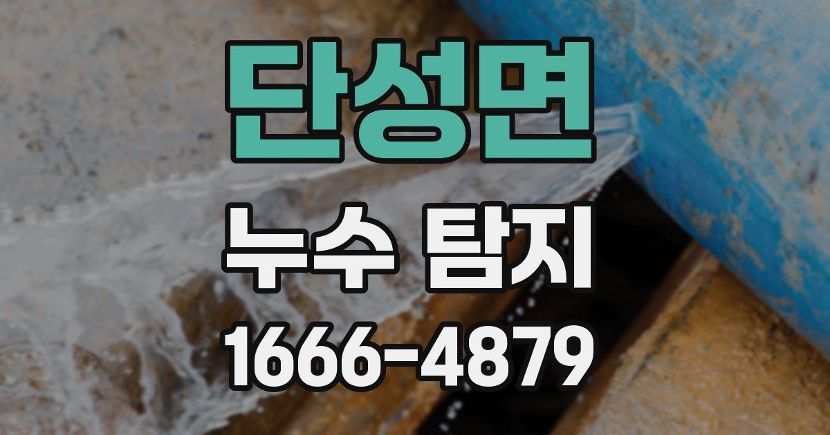 단성면 누수 탐지