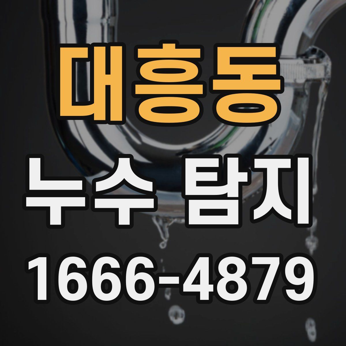 대흥동 누수 탐지