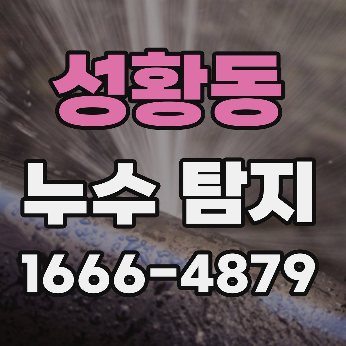 성황동 누수 탐지