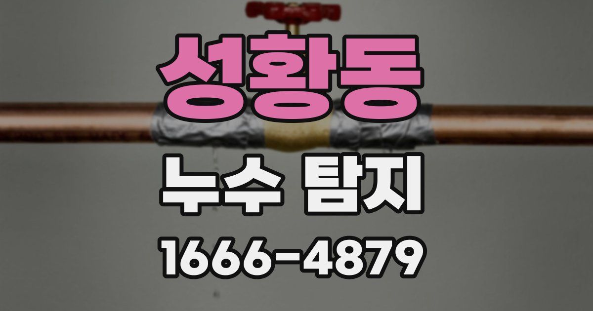 성황동 누수 탐지