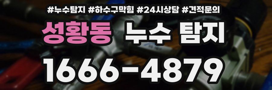 성황동 누수 탐지