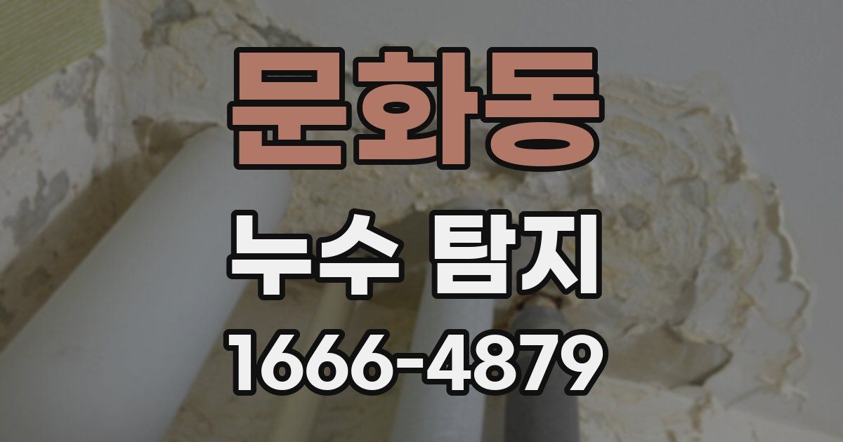문화동 누수 탐지