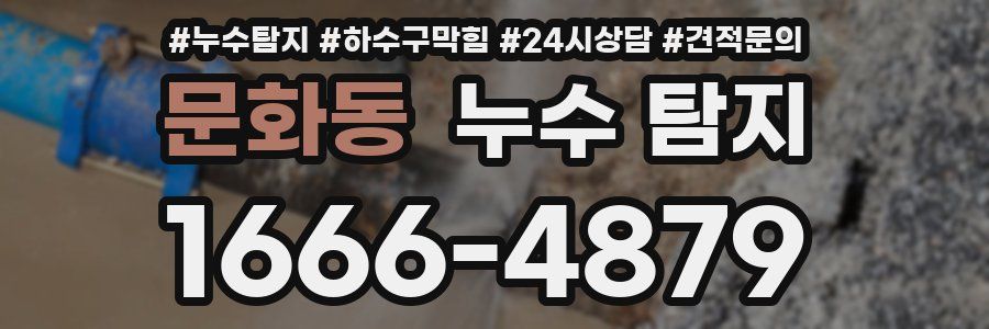 문화동 누수 탐지