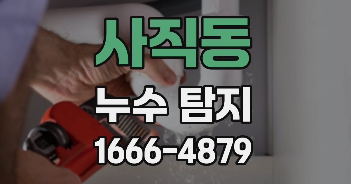 사직동 누수 탐지