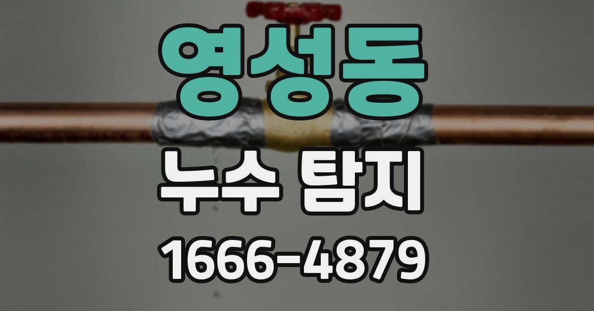 영성동 누수 탐지