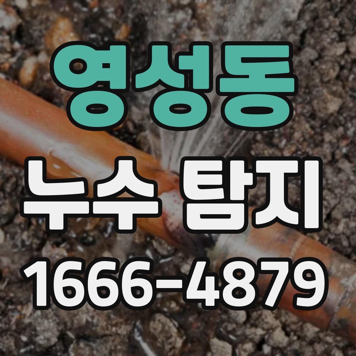 영성동 누수 탐지