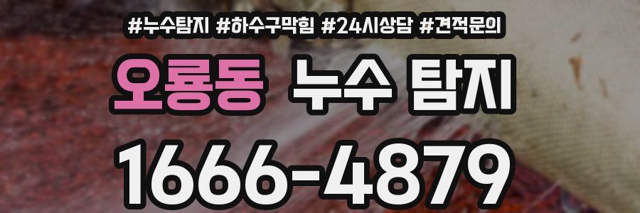 오룡동 누수 탐지