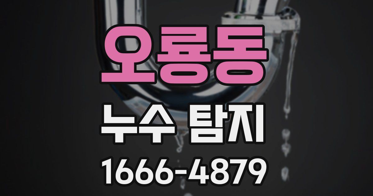 오룡동 누수 탐지