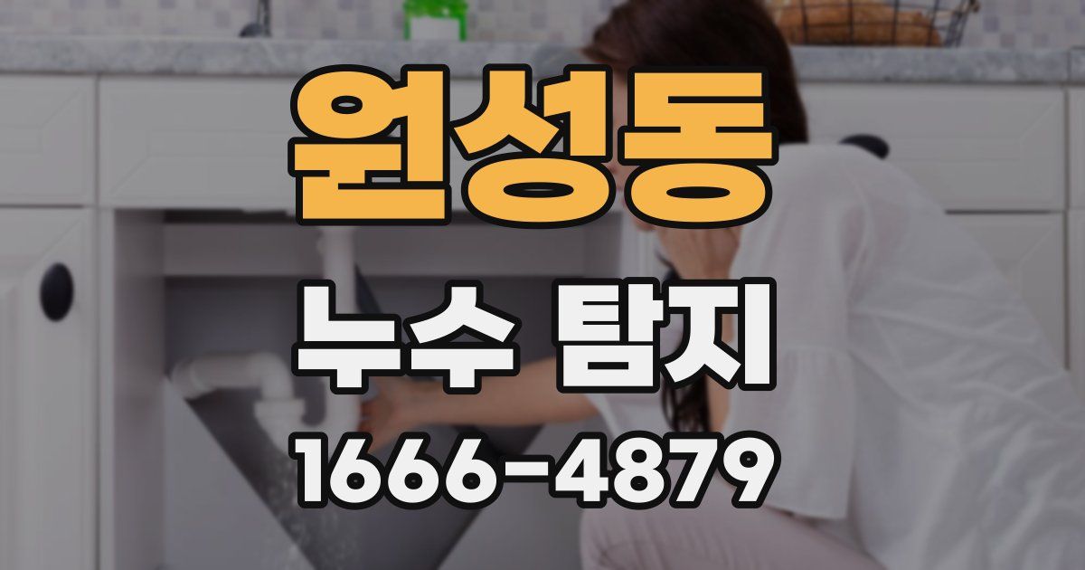 원성동 누수 탐지