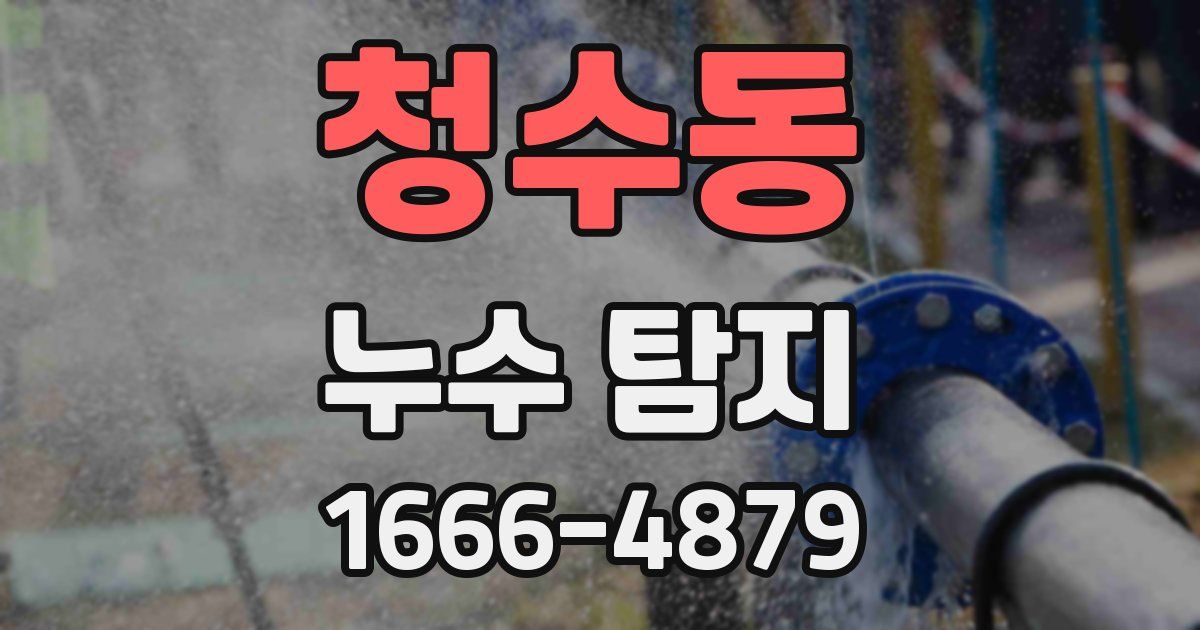 청수동 누수 탐지