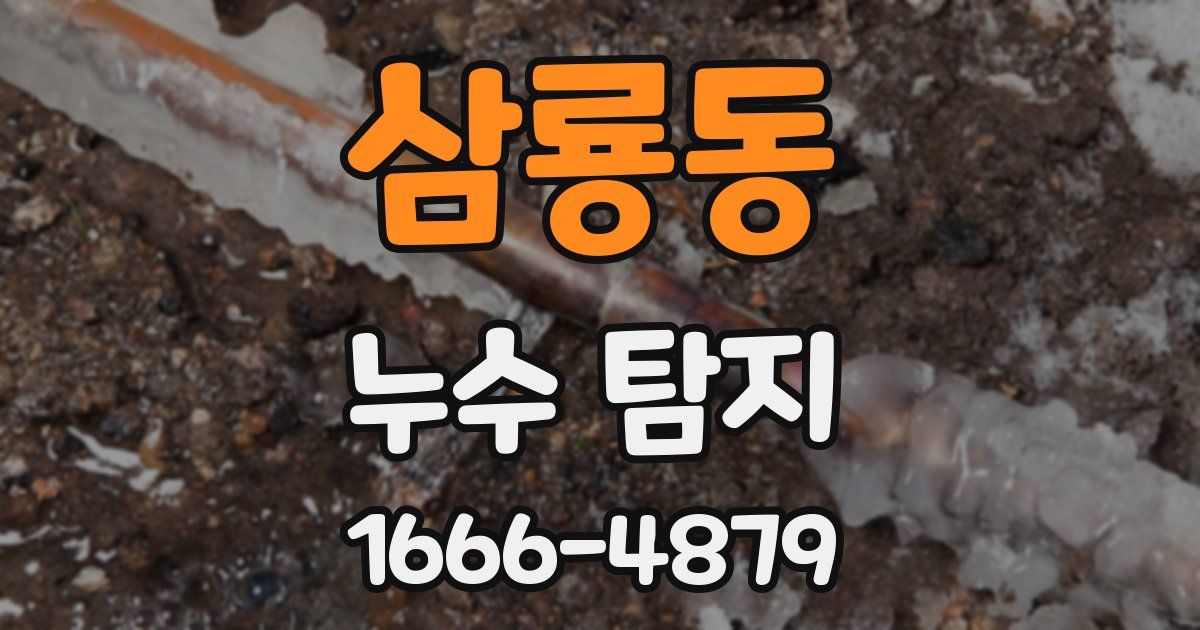 삼룡동 누수 탐지