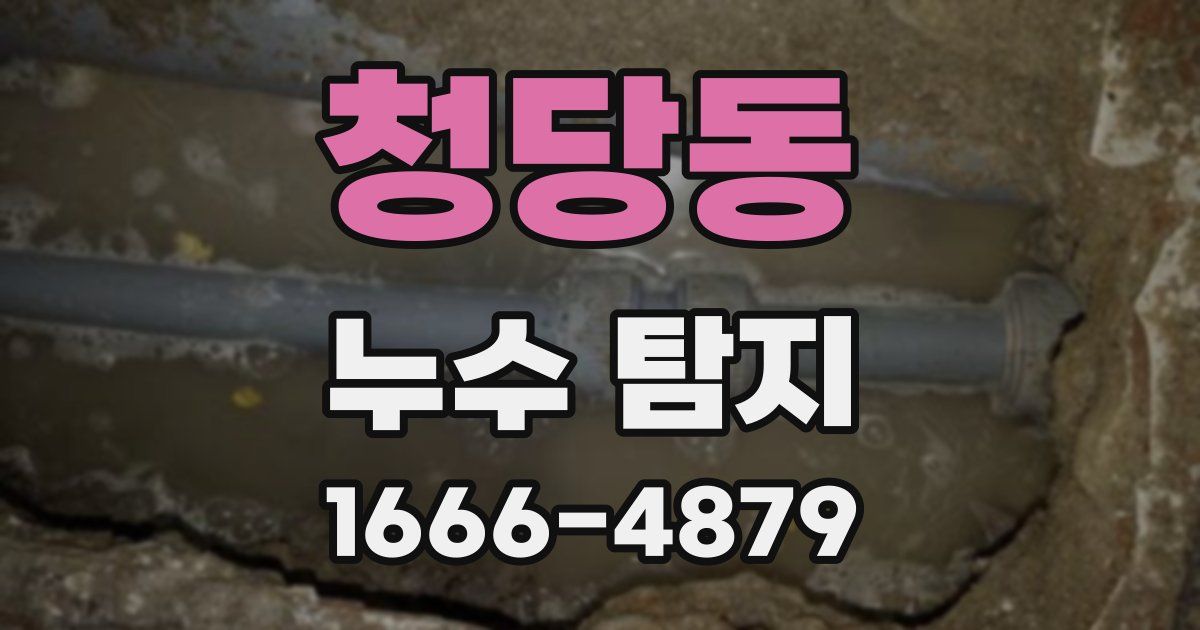 청당동 누수 탐지