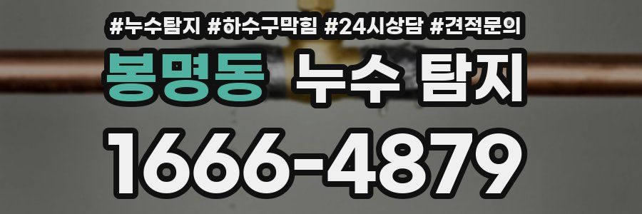 봉명동 누수 탐지