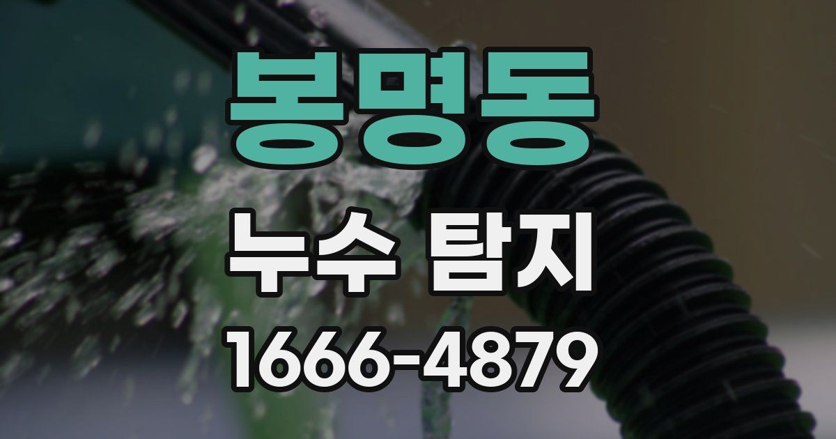 봉명동 누수 탐지