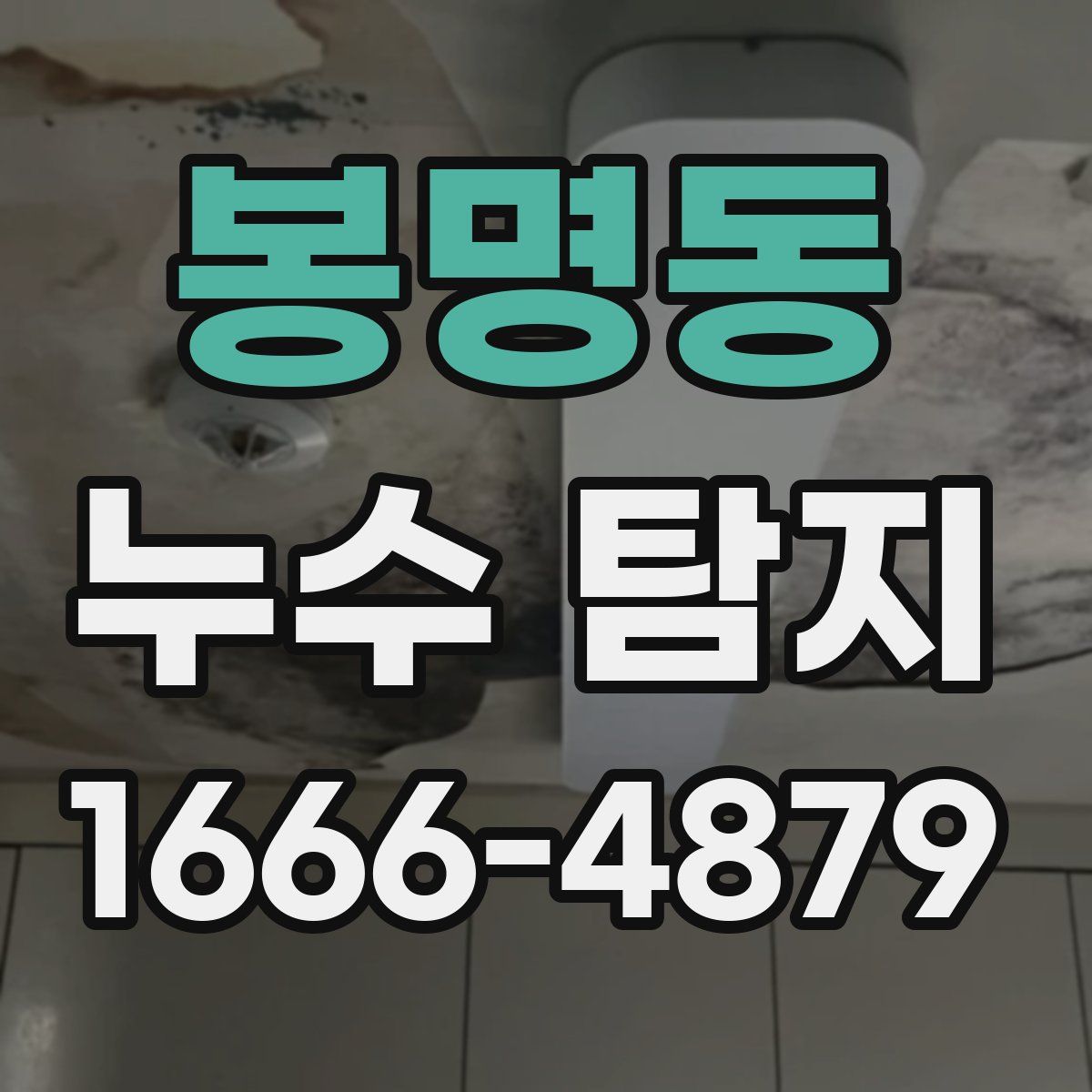 봉명동 누수 탐지