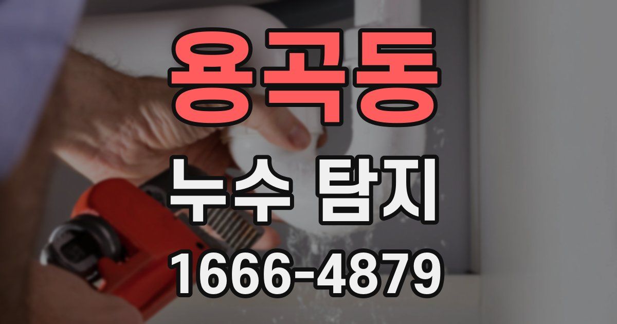 용곡동 누수 탐지