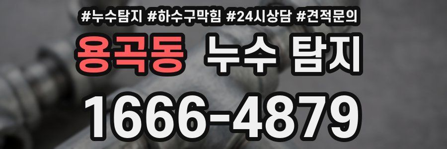 용곡동 누수 탐지