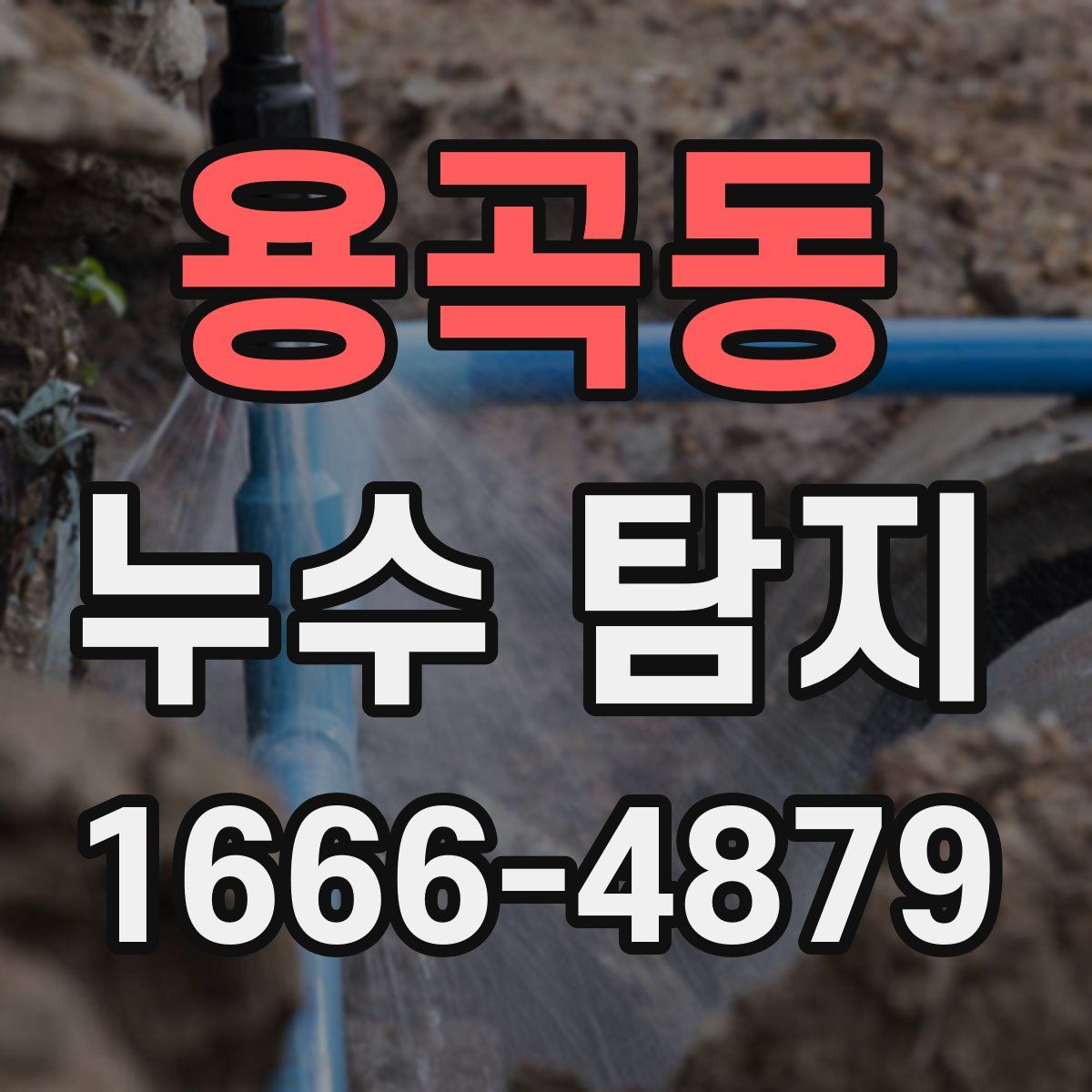 용곡동 누수 탐지