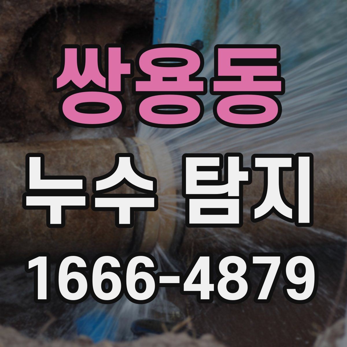 쌍용동 누수 탐지 전후 사진으로 보는 변화