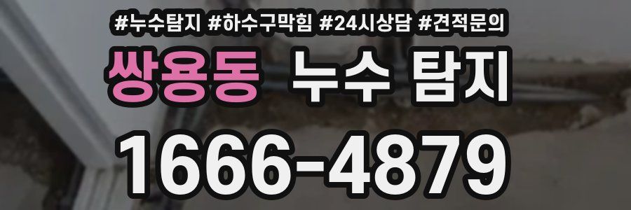 쌍용동 누수 탐지