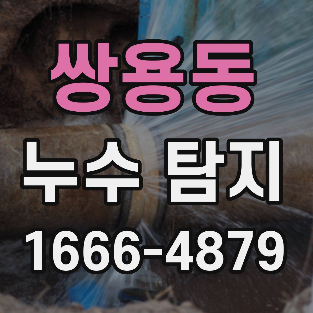 쌍용동 누수 탐지