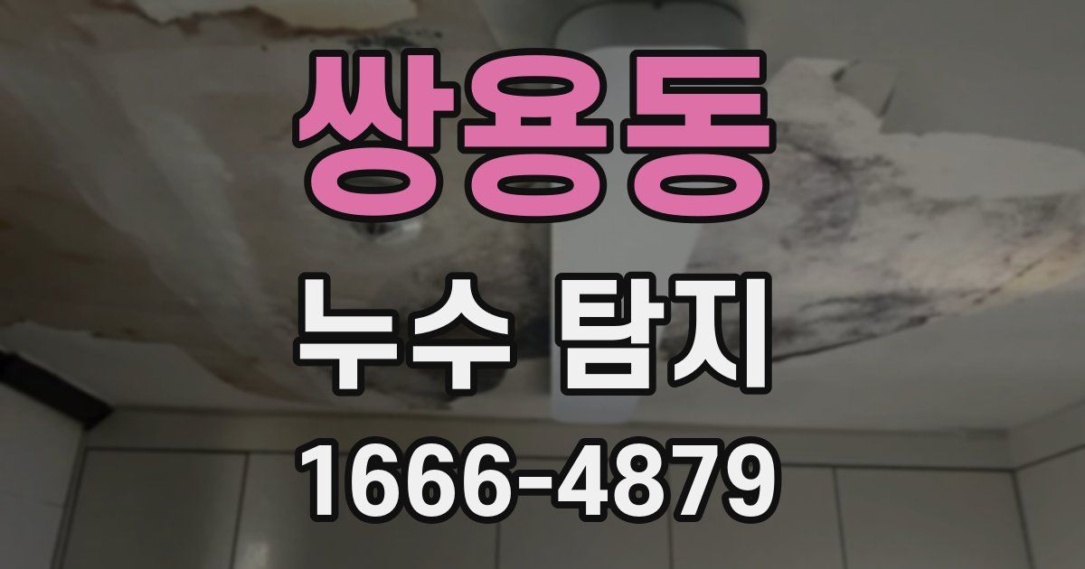 쌍용동 누수 탐지