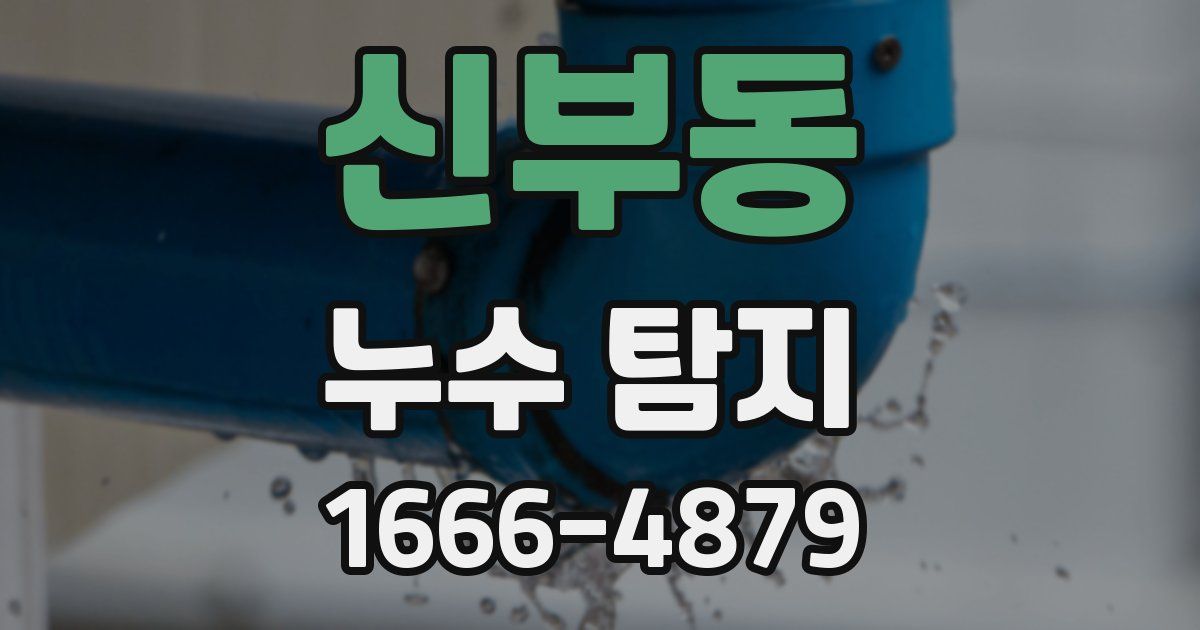 신부동 누수 탐지