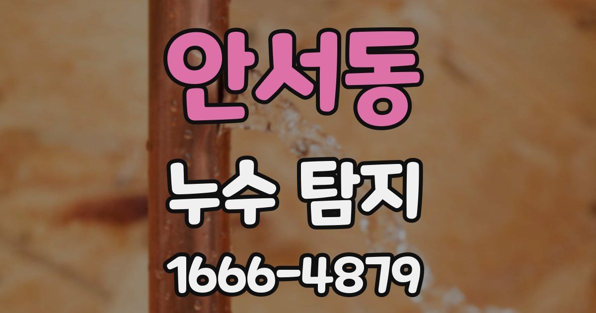 안서동 누수 탐지