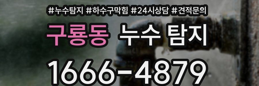 구룡동 누수 탐지
