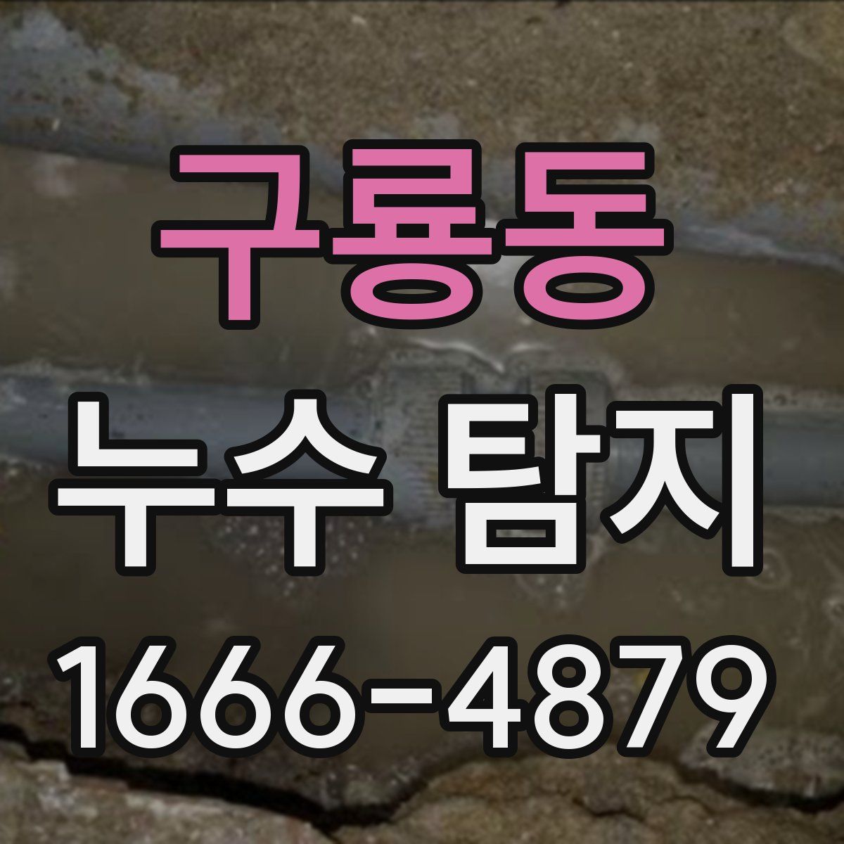 구룡동 누수 탐지