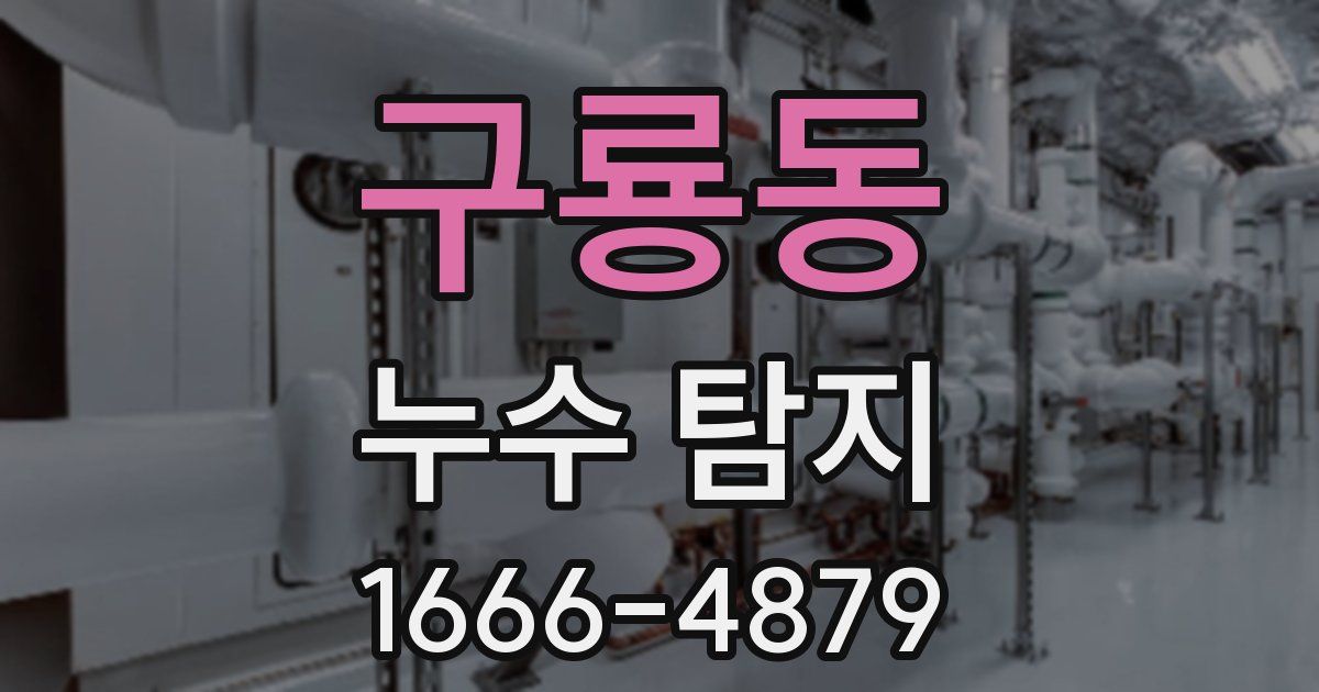 구룡동 누수 탐지