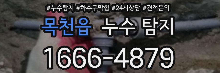 목천읍 누수 탐지