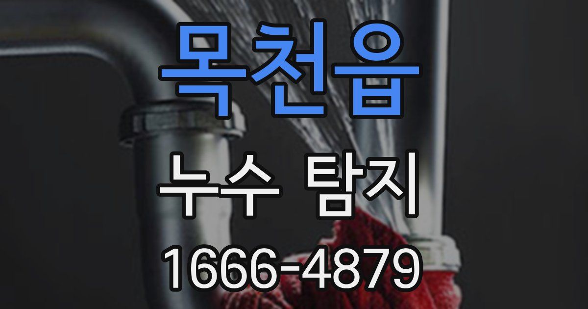 목천읍 누수 탐지