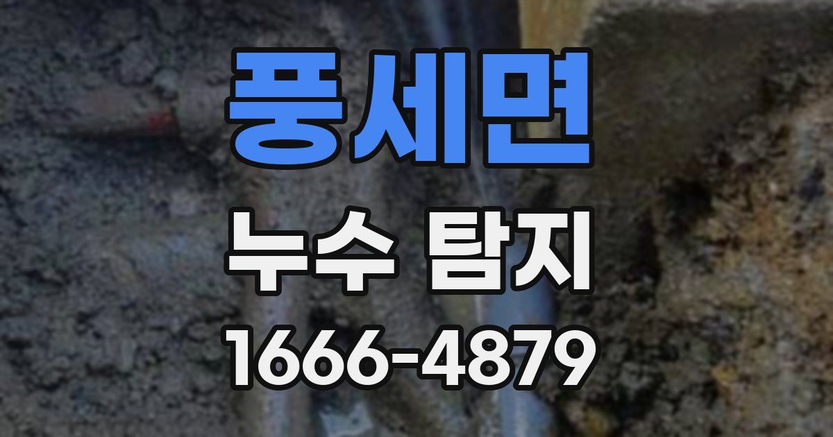 풍세면 누수 탐지