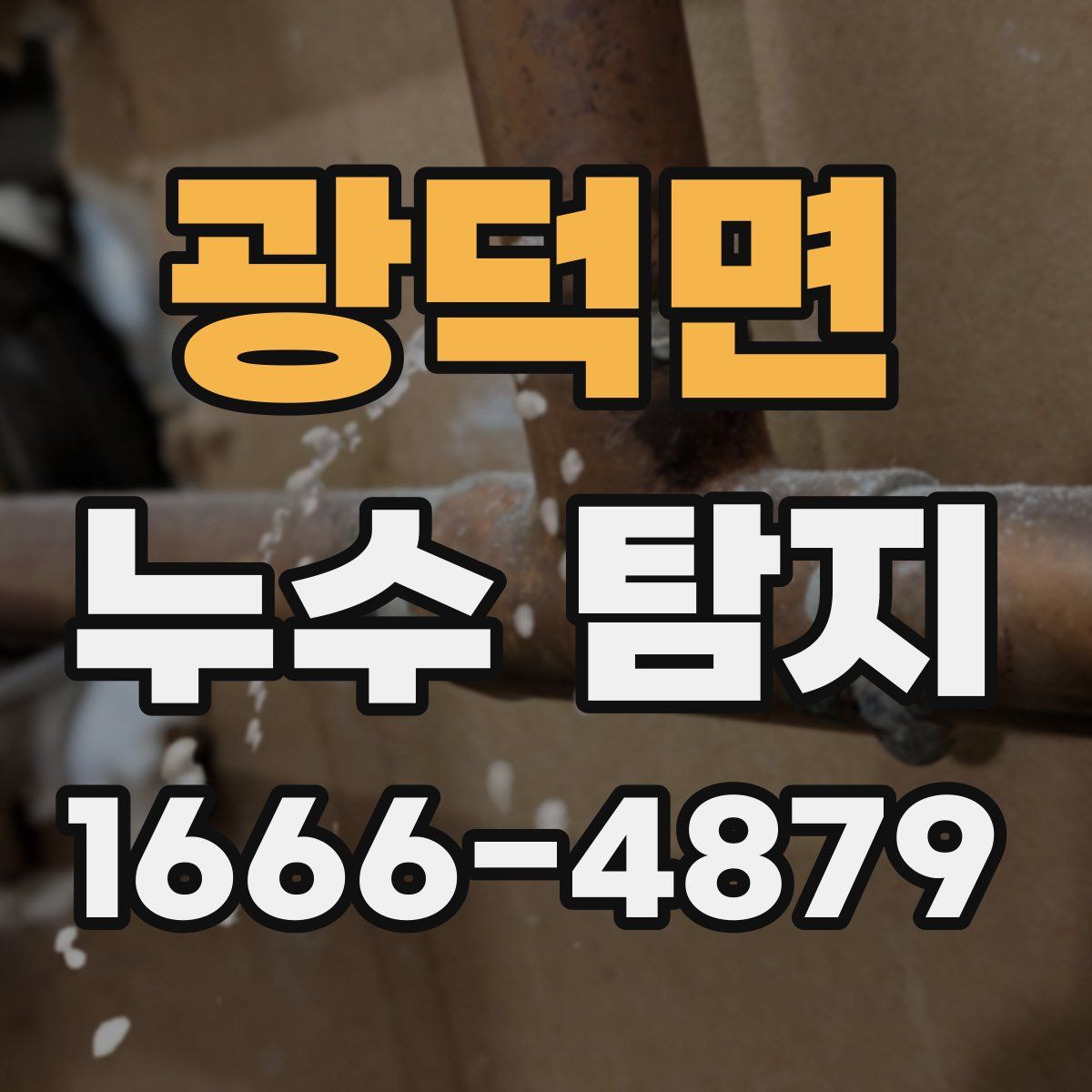 광덕면 누수 탐지