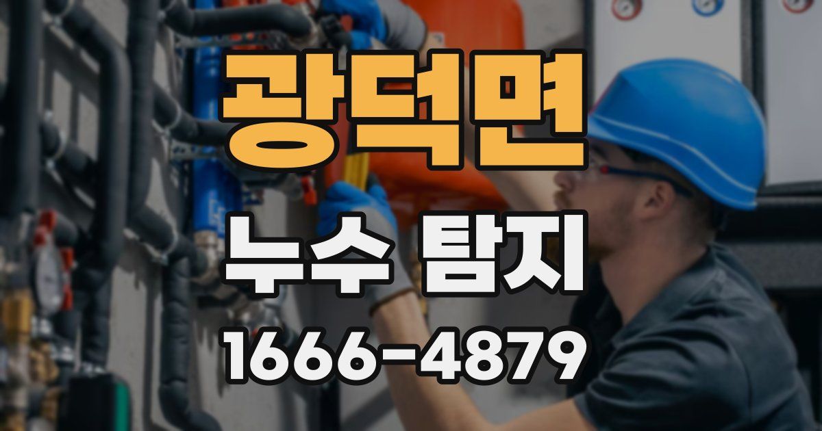 광덕면 누수 탐지