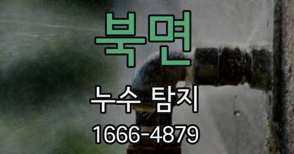 북면 누수 탐지