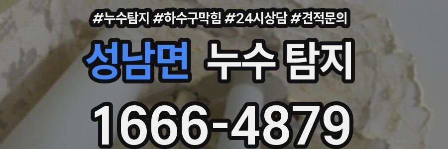 성남면 누수 탐지