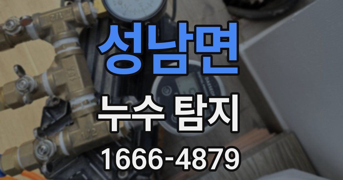 성남면 누수 탐지