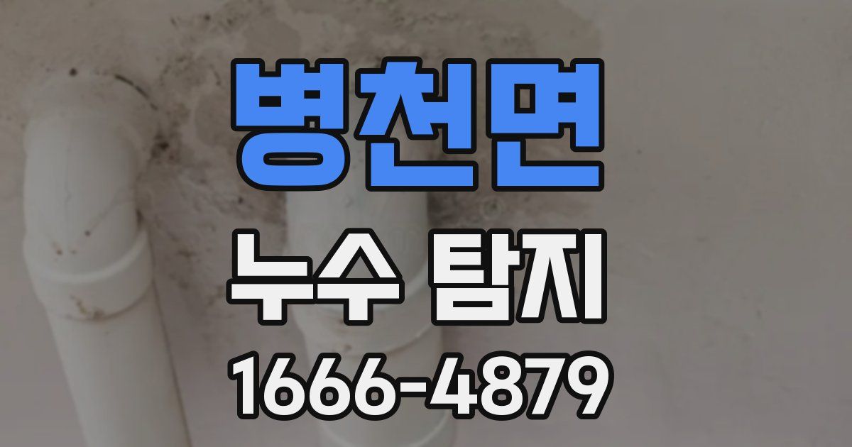 병천면 누수 탐지