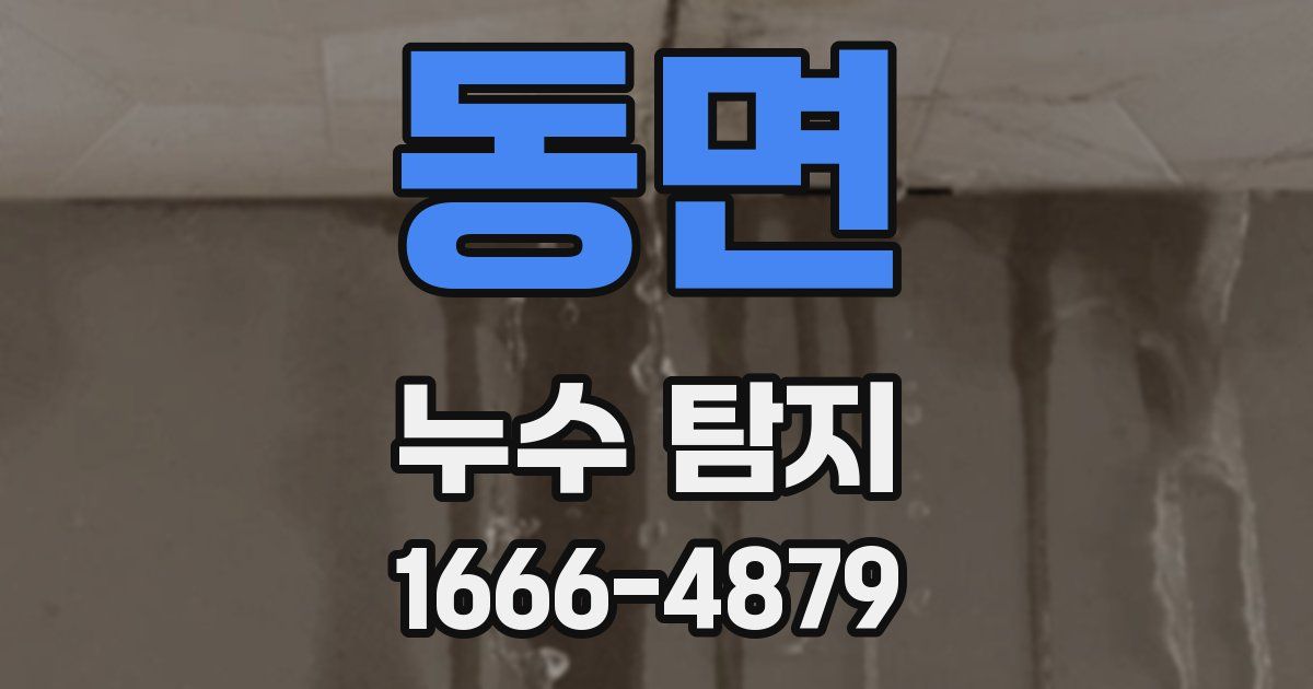 동면 누수 탐지