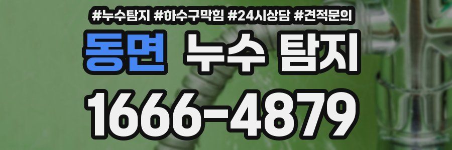 동면 누수 탐지